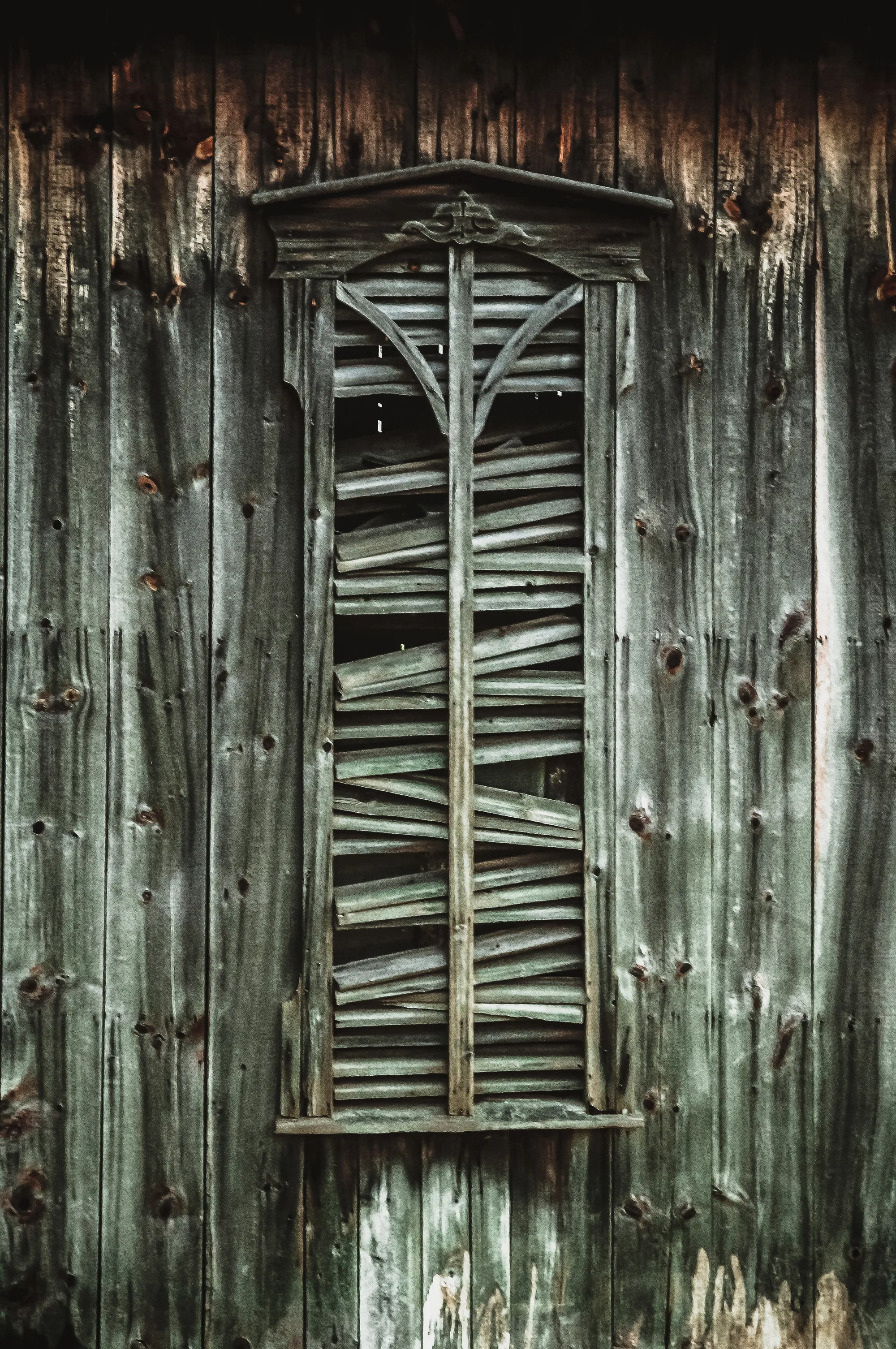 Photograph by JW Cooper