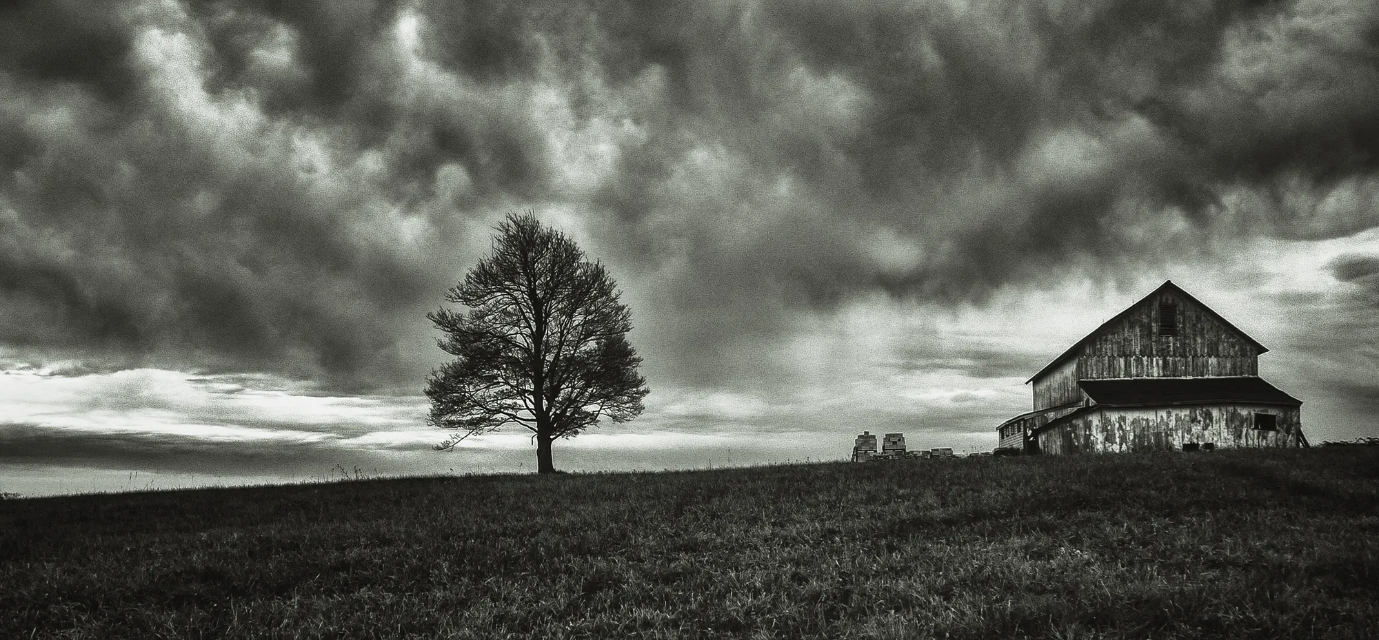 Photograph by JW Cooper